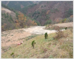  2024Ÿ��54814  �����