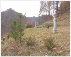  2024Ÿ��54814  �����