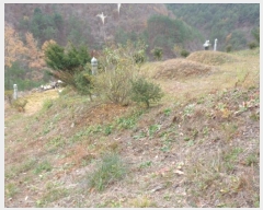  2024Ÿ��54814  �����