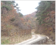  2024Ÿ��54814  �����