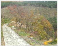  2024Ÿ��54814  �����