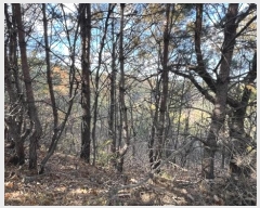  2024Ÿ54937    ܸ 944-98      (Ӿ)