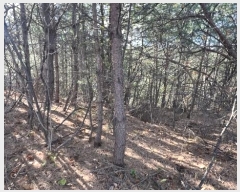  2024Ÿ54937    ܸ 944-98      (Ӿ)