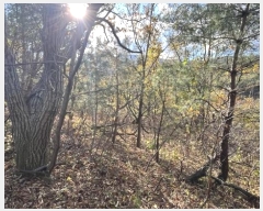  2024Ÿ54937    ܸ 944-98      (Ӿ)