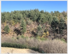  2024Ÿ54937    ܸ 944-98      (Ӿ)