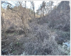  2024Ÿ54937    ܸ 944-98      (Ӿ)