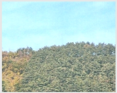  2024Ÿ54937    ܸ 944-98      (Ӿ)