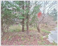  2024Ÿ55022    꼺츮 22      (1)