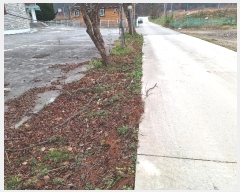  2024Ÿ55022    꼺츮 22      (1)