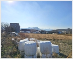  2024Ÿ��55237 ���� ������ ����� ������ 308      ����(��1)���