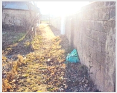  2024Ÿ��55237 ���� ������ ����� ������ 308      ����(��1)���