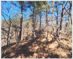  2024Ÿ��55497 ���� ��ô�� ������ �ӿ��� 948-55      ����(�Ӿ�)���