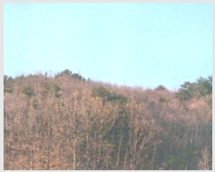  2024Ÿ��55497 ���� ��ô�� ������ �ӿ��� 948-55      ����(�Ӿ�)���