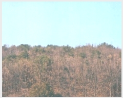  2024Ÿ��55497 ���� ��ô�� ������ �ӿ��� 948-55      ����(�Ӿ�)���