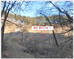  2024Ÿ��55510 ���� ������ ������ 199-1       ����(��)���