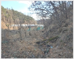  2024Ÿ��55510 ���� ������ ������ 199-1       ����(��)���