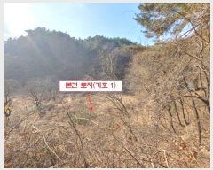  2024Ÿ��55510 ���� ������ ������ 199-1       ����(��)���