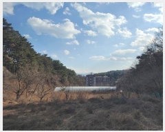  2024Ÿ��55510 ���� ������ ������ 199-1       ����(��)���