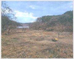  2024Ÿ��55510 ���� ������ ������ 199-1       ����(��)���