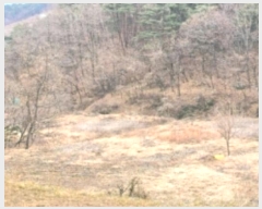  2024Ÿ��55510 ���� ������ ������ 199-1       ����(��)���