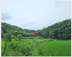  2024Ÿ1981  ֽ  ȸ 11      ()