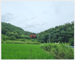  2024Ÿ1981  ֽ  ȸ 11      ()