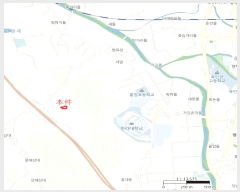  2024Ÿ1981  ֽ  ȸ 11      ()