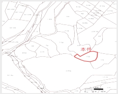  2024Ÿ1981  ֽ  ȸ 11      ()