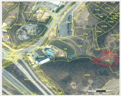  2024Ÿ1981  ֽ  ȸ 11      ()