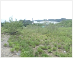  2024Ÿ2434  ֽ   1114-5      ()