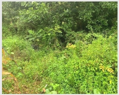  2024Ÿ��2519 ���� Ⱦ���� û�ϸ� ���ø� 503-10      ����(��1)���