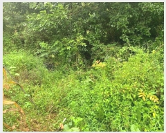  2024Ÿ��2519 ���� Ⱦ���� û�ϸ� ���ø� 503-10      ����(��1)���