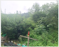  2024Ÿ��2519 ���� Ⱦ���� û�ϸ� ���ø� 503-10      ����(��1)���