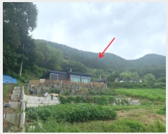  2024Ÿ��2519 ���� Ⱦ���� û�ϸ� ���ø� 503-10      ����(��1)���