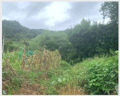  2024Ÿ��2519 ���� Ⱦ���� û�ϸ� ���ø� 503-10      ����(��1)���