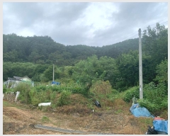  2024Ÿ��2519 ���� Ⱦ���� û�ϸ� ���ø� 503-10      ����(��1)���