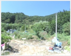  2024Ÿ��2519 ���� Ⱦ���� û�ϸ� ���ø� 503-10      ����(��1)���