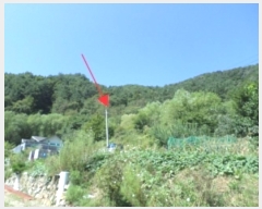  2024Ÿ��2519 ���� Ⱦ���� û�ϸ� ���ø� 503-10      ����(��1)���