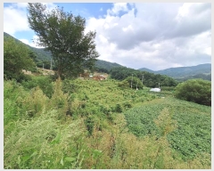  2024Ÿ2540  Ⱦ г ׸ 492-10      (1)