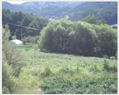  2024Ÿ2540  Ⱦ г ׸ 492-10      (1)