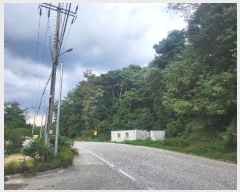  2024Ÿ2656  ֽ ͷ ͷ 114-6      (Ӿ)