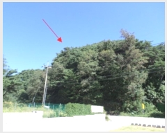  2024Ÿ2656  ֽ ͷ ͷ 114-6      (Ӿ)