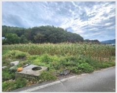  2024Ÿ��2687 ���� Ⱦ���� �г��� ���ϸ� 7      ����(��1)���