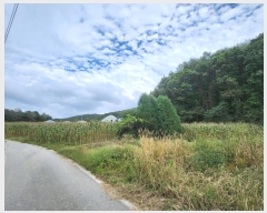  2024Ÿ��2687 ���� Ⱦ���� �г��� ���ϸ� 7      ����(��1)���