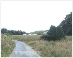  2024Ÿ��2687 ���� Ⱦ���� �г��� ���ϸ� 7      ����(��1)���