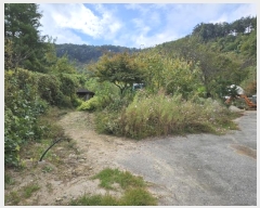  2024Ÿ��2854 ���� Ⱦ���� Ⱦ���� �а 389-2      ����(��1)���