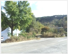  2024Ÿ��2854 ���� Ⱦ���� Ⱦ���� �а 389-2      ����(��1)���