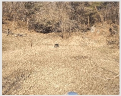  2024Ÿ2892  Ⱦ ûϸ  282-2      ð