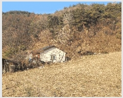  2024Ÿ2892  Ⱦ ûϸ  282-2      ð