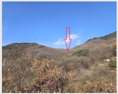  2024Ÿ3079  ֽ   21      (Ӿ)